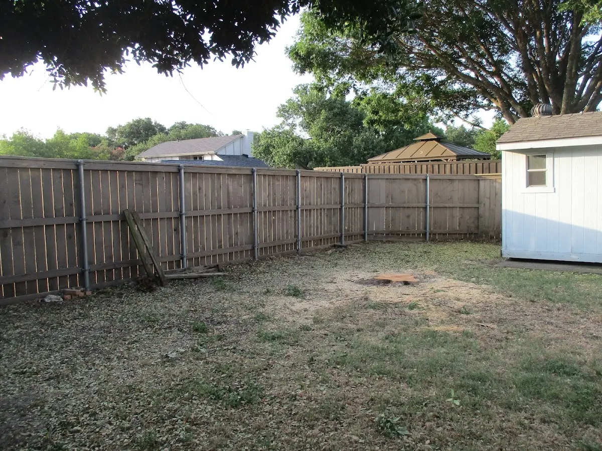 Cleared yard after professional tree removal in Chromo