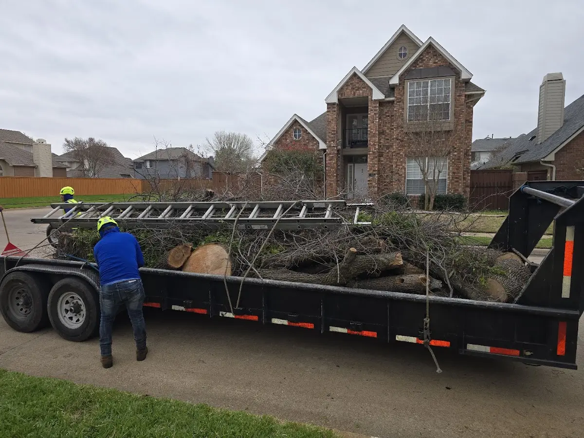 Expert Lot Clearing with proper safety equipment in Chromo
